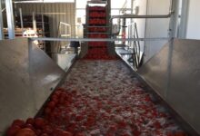 Photo of Оборудование для производства электрических двигателей