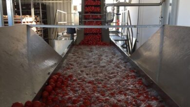 Photo of Оборудование для производства электрических двигателей