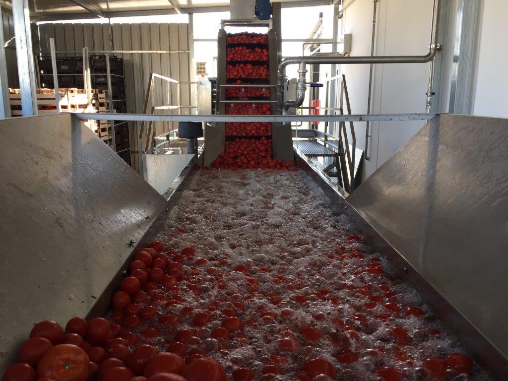 Фото 6 — Оборудование для производства электрических двигателей